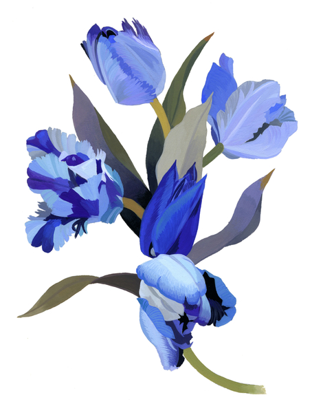 Blue tulip von Hiroyuki Izutsu