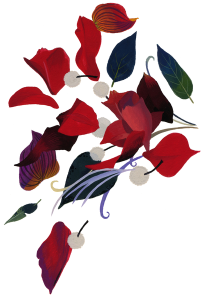 Flowers that image Christmas von Hiroyuki Izutsu