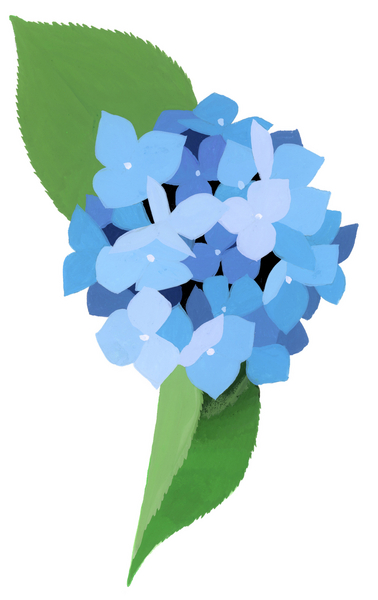 hydrangea von Hiroyuki Izutsu