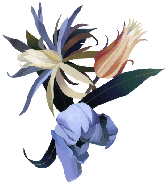 Imaginary flowers based on tulips von Hiroyuki Izutsu