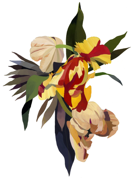 Tulip parrot 3 von Hiroyuki Izutsu