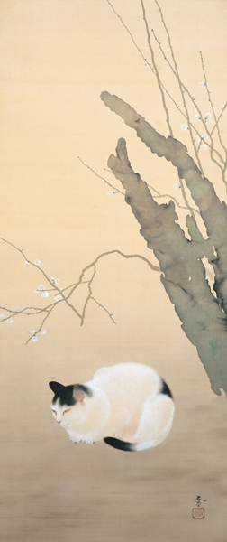 Cat and Plum Blossoms (Katze und Pflaumenblüten von Hishida Shunso