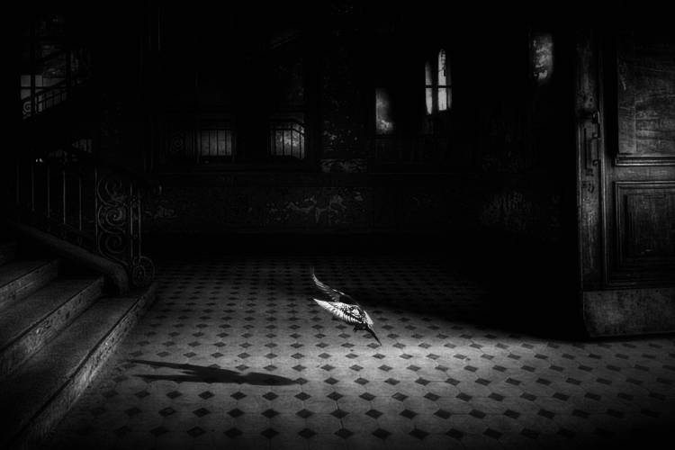 chance encounter von Holger Droste