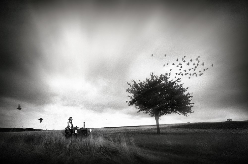 Emilia Romagna II von Holger Droste