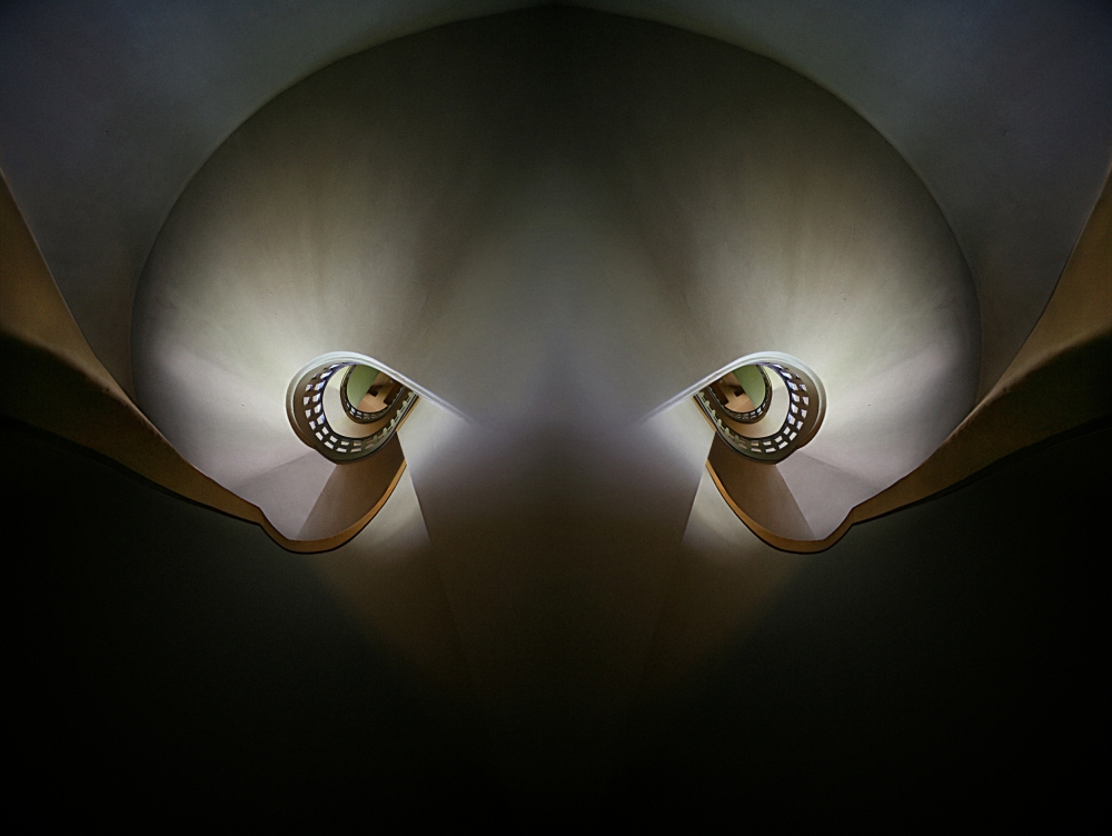 Octopus von Holger Droste