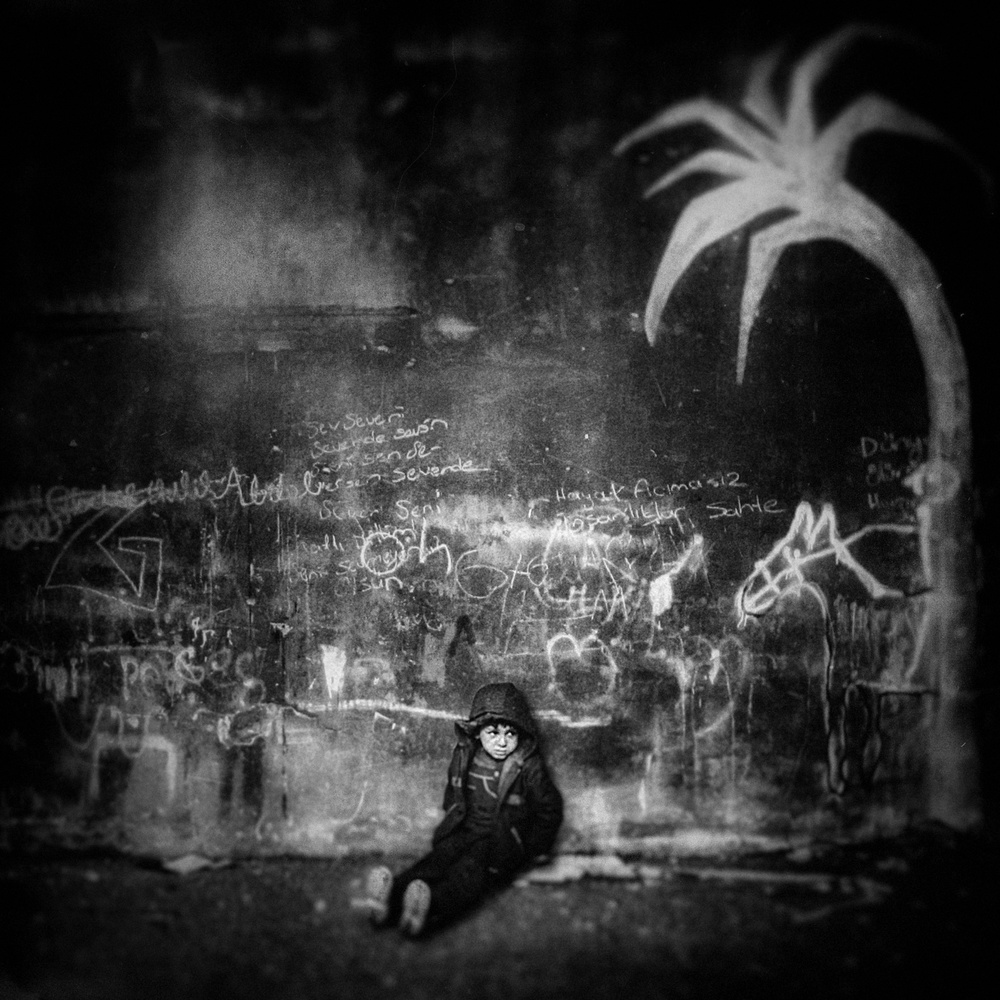 Palm von Holger Droste