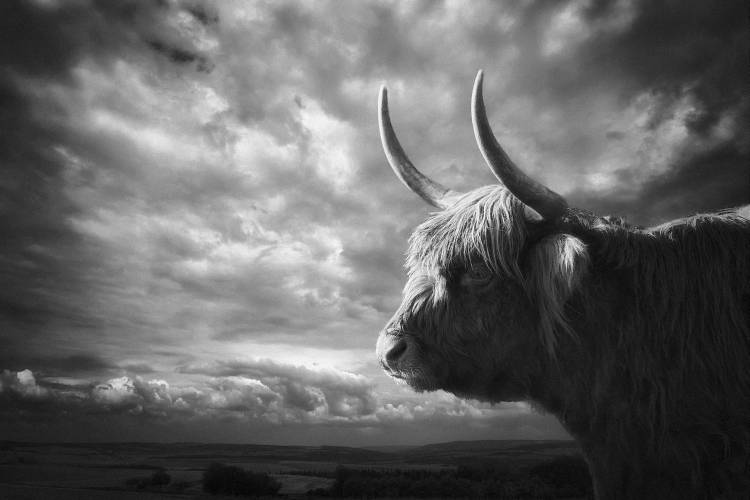 the Highlands von Holger Droste
