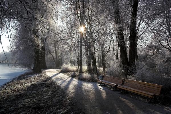 winterlicher Spazierweg am See von Holger Schmidt