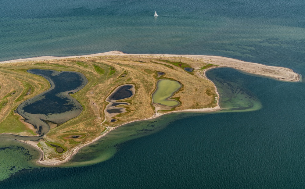 Graswarder von Holger Schmidtke