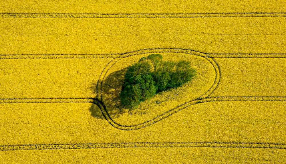 Island in the Field von Holger Schmidtke
