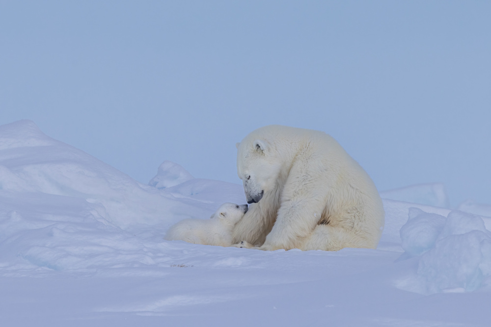 Affectionate von Hong Chen