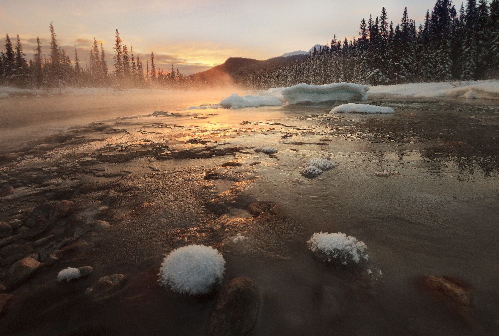 Misty Wintermorgen von Hong Zeng