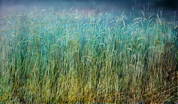 Sinfonia Concertante von Olaf  Hoppe