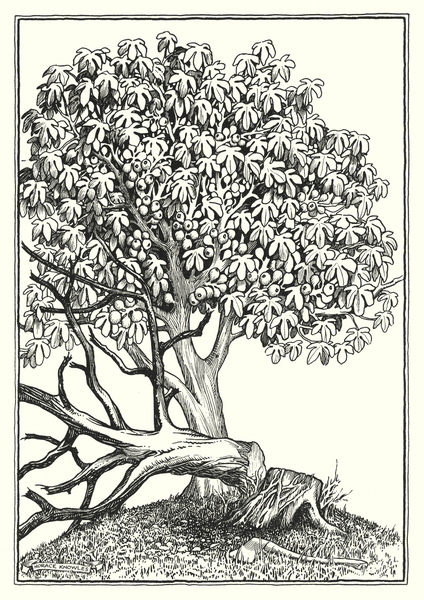 Illustration for The Sermon On The Mount von Horace J. Knowles