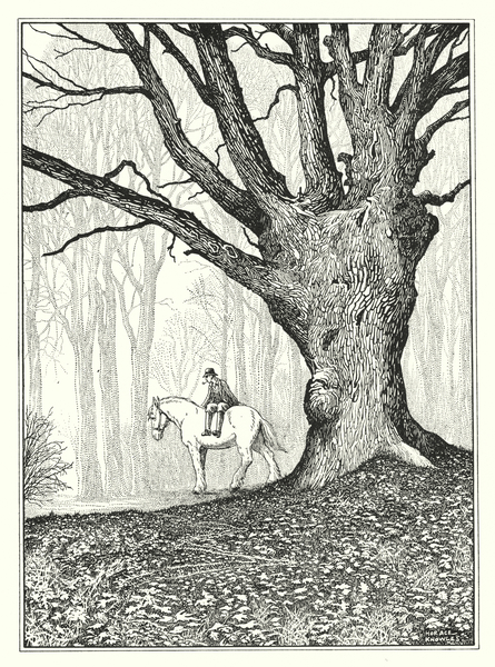 November von Horace J. Knowles