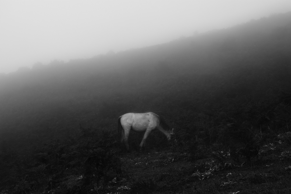 untitledl von Hosein Sadeghi