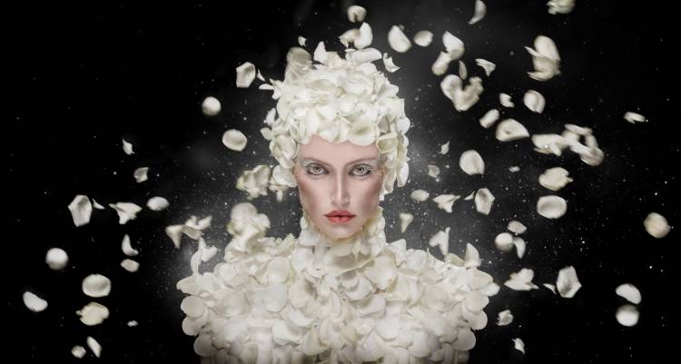 Spring von Hosein Shirvani