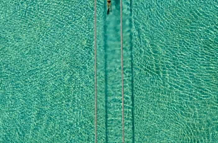 Hossein Nikzad Amoli