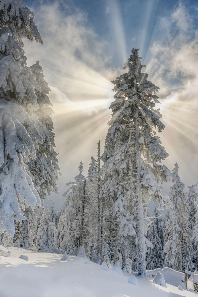 Divine lights von Hotea Gabriel