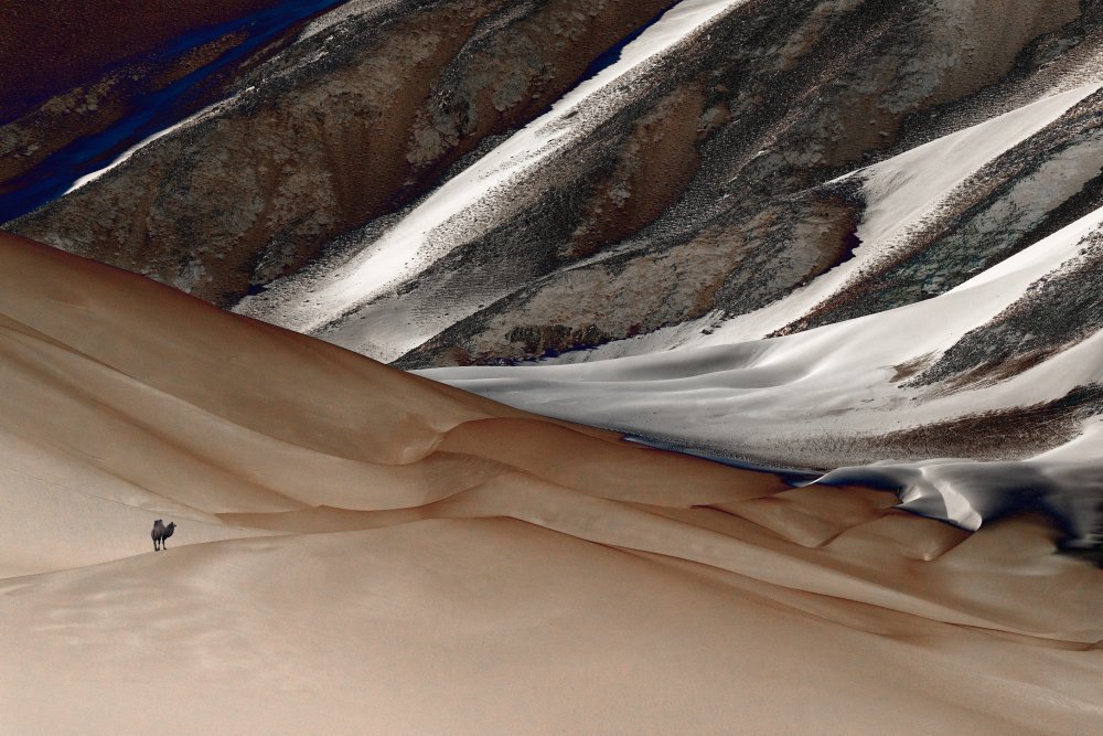 Loner von Hsiao-Yang Fei