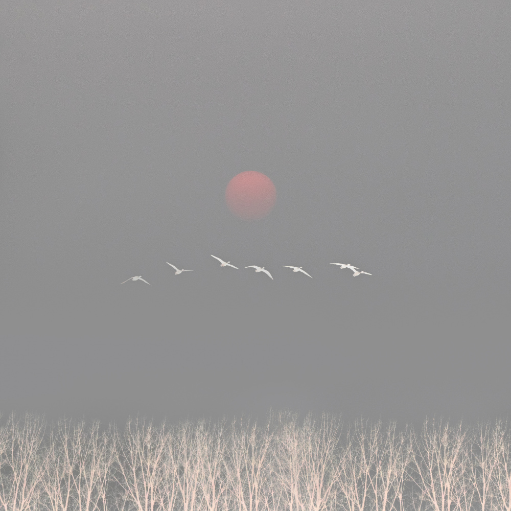 There are gods in the sky von Hsiao-Yang Fei