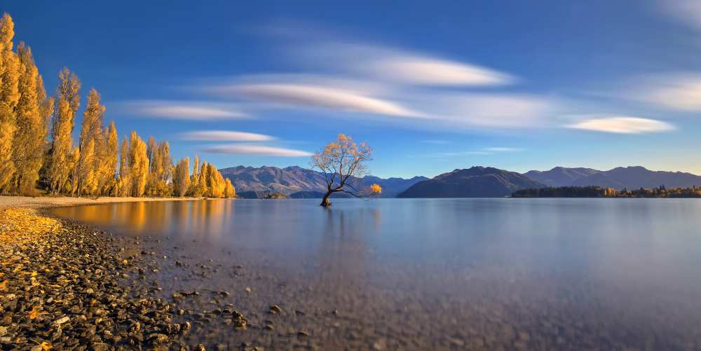 Autumn in Lake Wanaka von Hua Zhu