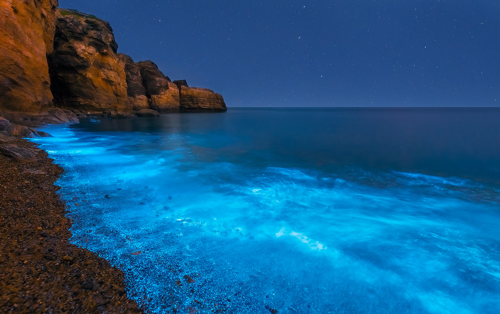 Bioluminescent Bay von Hua Zhu