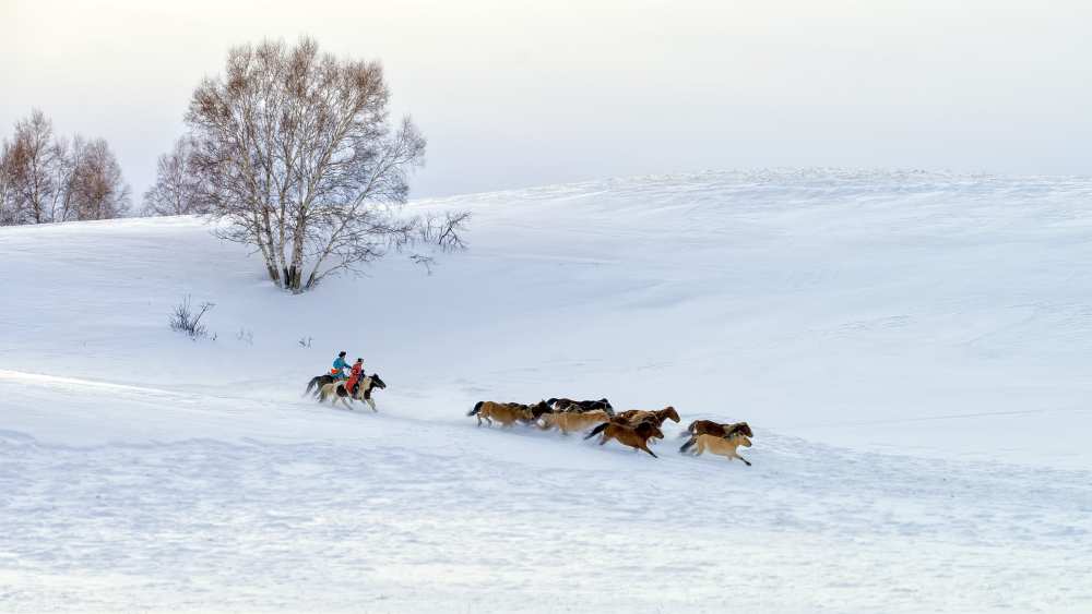 Racing on snow von Hua Zhu