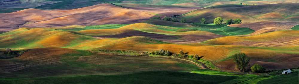 The Palouse von Hua Zhu