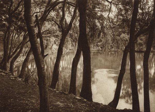 Mexico: Las fuentes de Tlalpam D F von Hugo Brehme