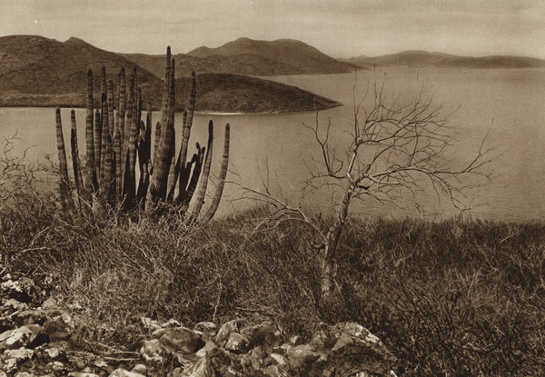 Mexico: Cerca de la costa de Baja California von Hugo Brehme