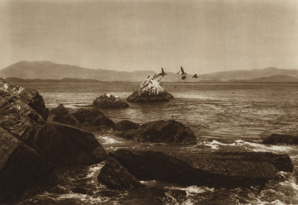 Mexico: Costa de Manzanillo, Pelicanos, Estado Colima von Hugo Brehme