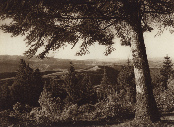 Mexico: Parque nacional, Desierto de los Leones von Hugo Brehme