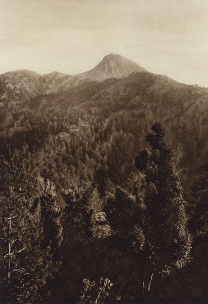 Mexico: Nevado de Colima, Vista parcial von Hugo Brehme