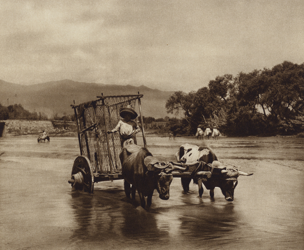 Mexico: Carro de bueyes con ruedas en forma de discos von Hugo Brehme