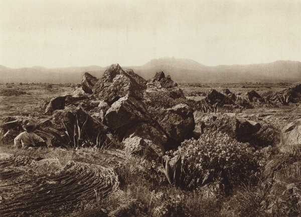 Mexico: Pedregal, Corriente de basalto-lava cerca de San Angel von Hugo Brehme