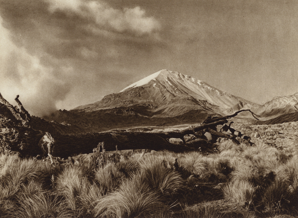 Mexico: Pico de Orizaba, Estado Puebla von Hugo Brehme