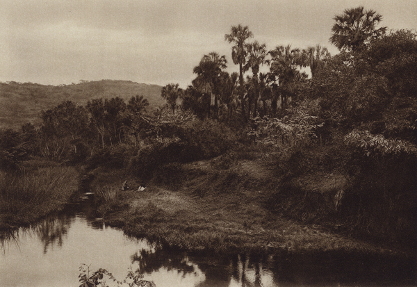 Mexico: Tamasopo, Paisaje de palmas von Hugo Brehme