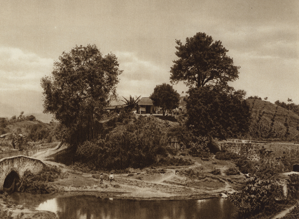 Mexico: Airededores de Jalapa von Hugo Brehme