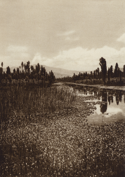 Mexico: Xochimilco, Uno de los canales principales von Hugo Brehme