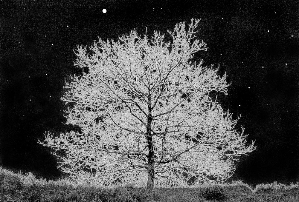 A cold night.....! von Huib Limberg