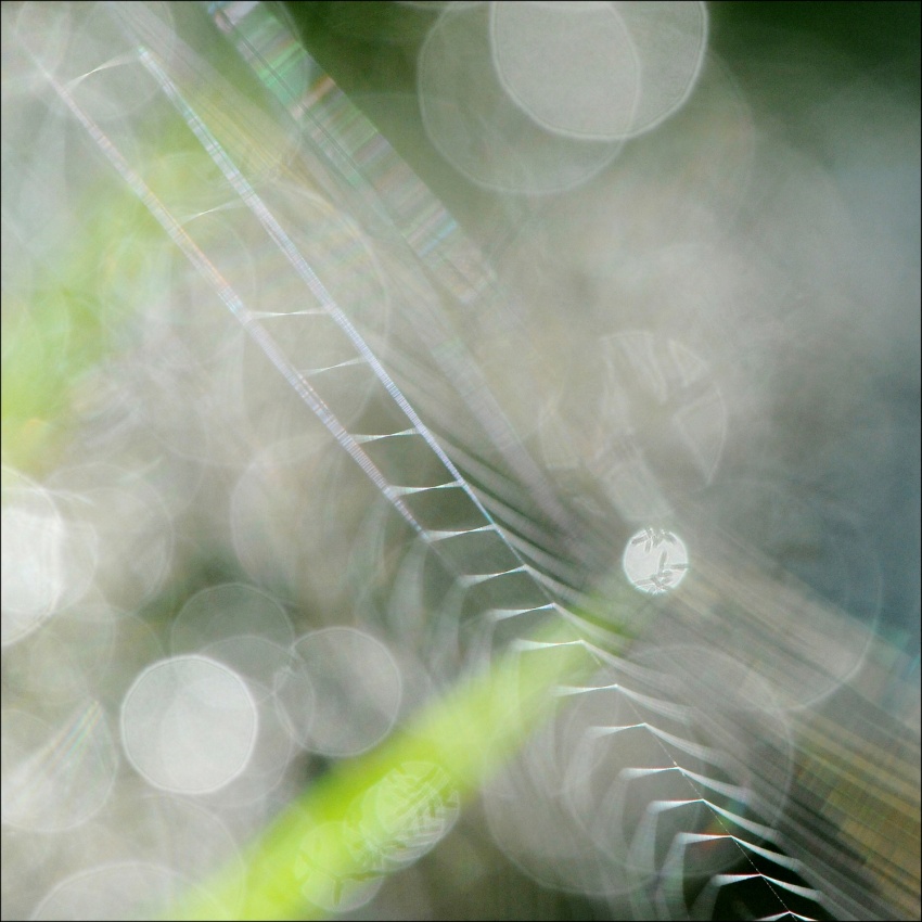 A bit closer 2_13 von Huib Limberg