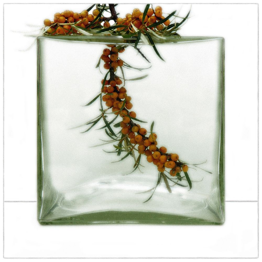 Momente der Ruhe # 14 von Huib Limberg