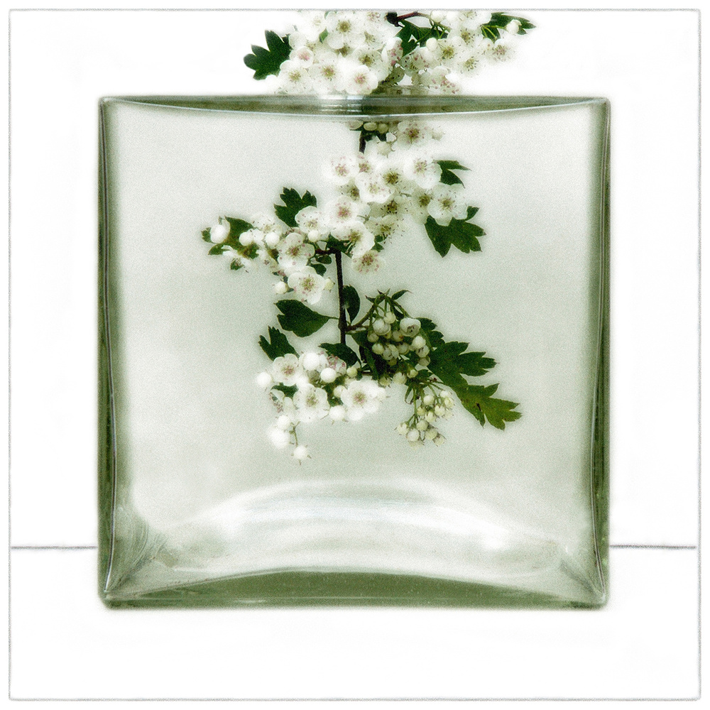 Mo(nu)ments of Rest # 09 von Huib Limberg