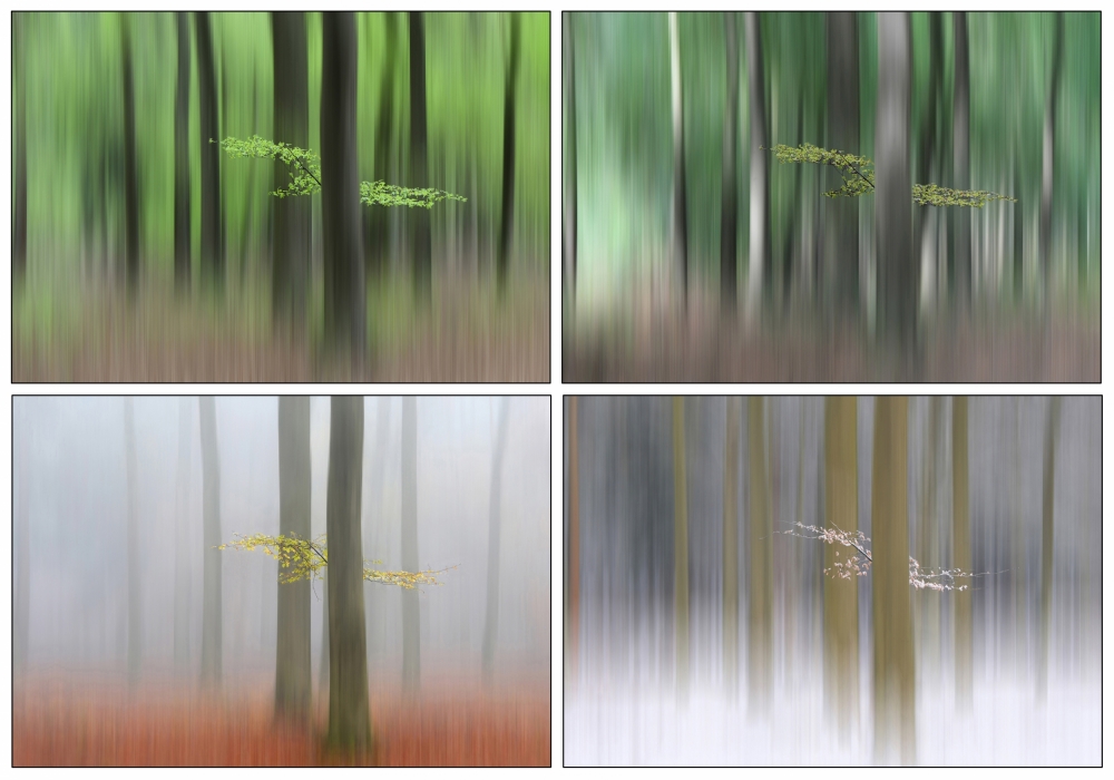 Quattro stagioni von Huib Limberg