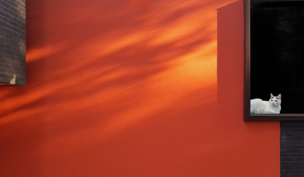 Rustic von Huib Limberg