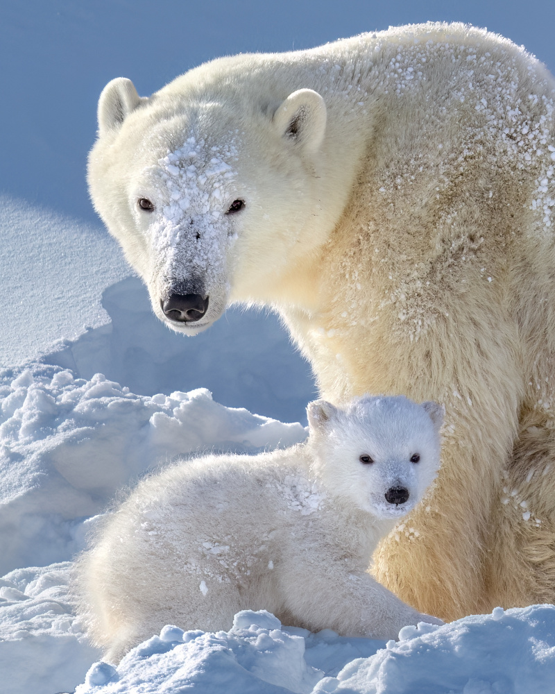 curious eyes von Hung Tsui