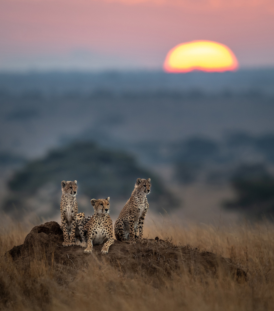Sunrise von Hung Tsui