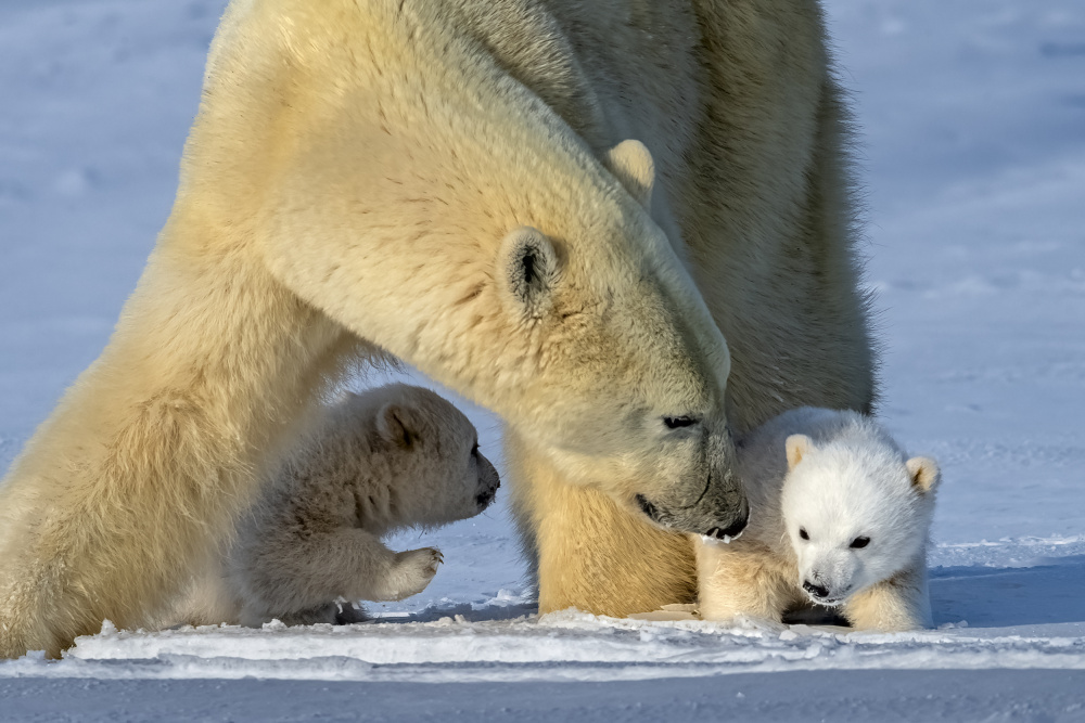 warm moment von Hung Tsui
