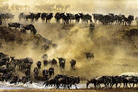 Schicksalhafter Umweg